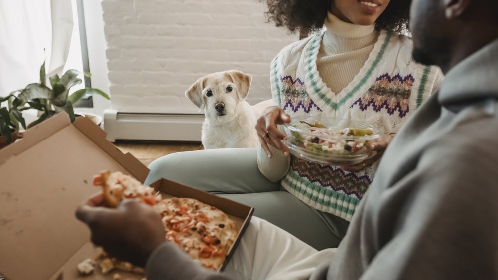 die pizza hunde