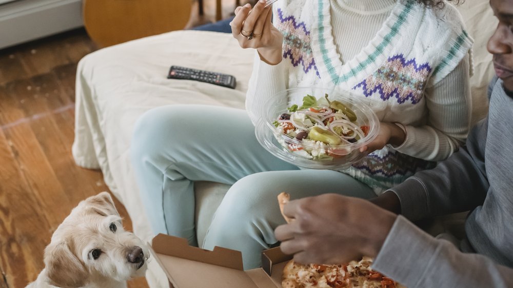 dürfen hunde pizza essen